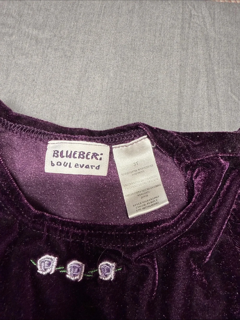 Blueberi Boulevard Deep Purple Velvet Dress with Floral Trim